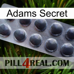 Adams Secret 30